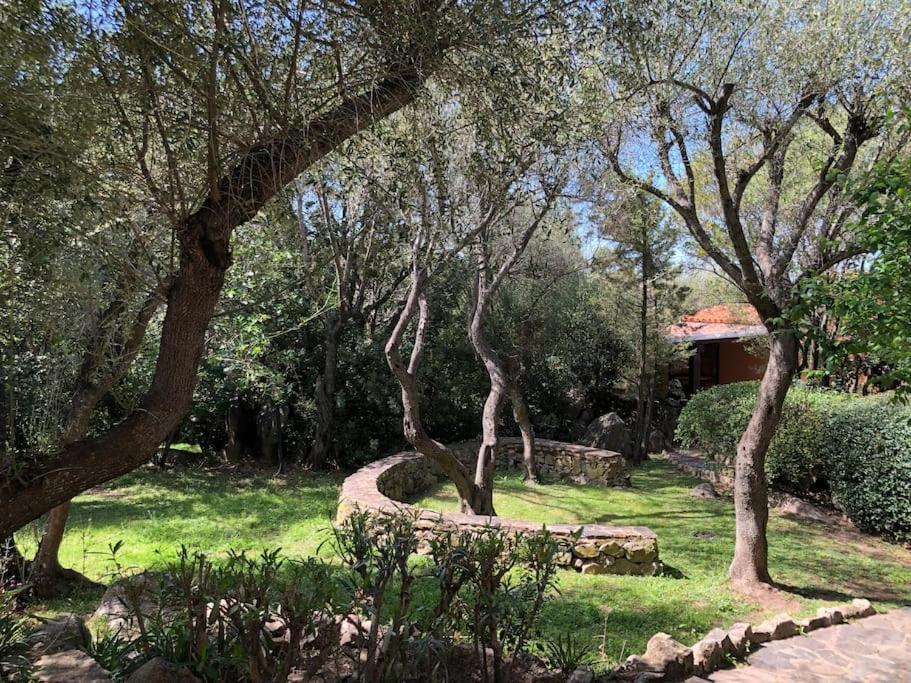 Il Nido Di Luca A Porto Rotondo 아파트 외부 사진